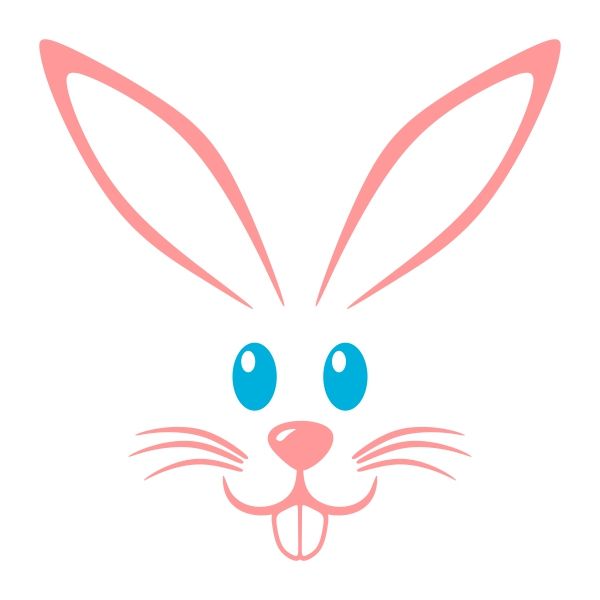 25+ best ideas about Bunny Face on Pinterest.