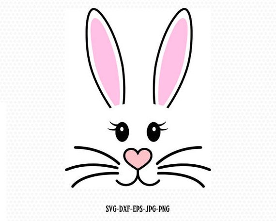 bunny face png 20 free Cliparts | Download images on Clipground 2024
