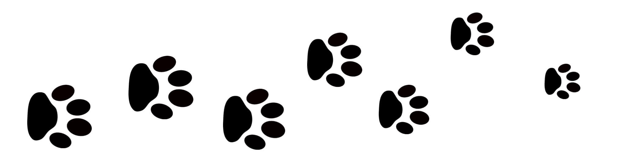 bunny-paw-print-clip-art-20-free-cliparts-download-images-on