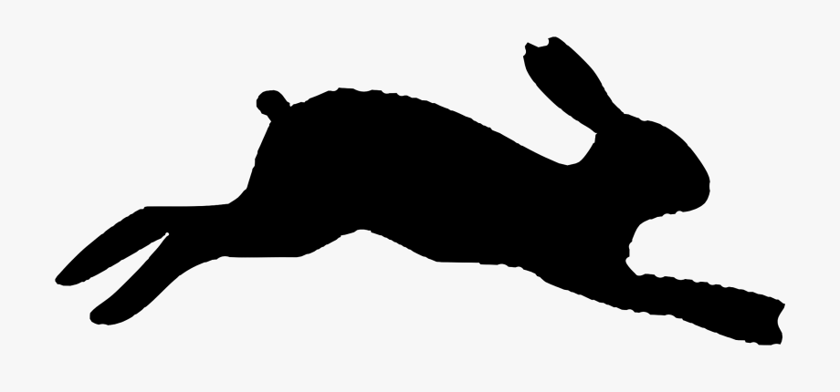Bunny Tail Clipart.