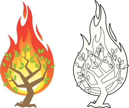 Vector illustration of the burning bush from the Biblical account of.