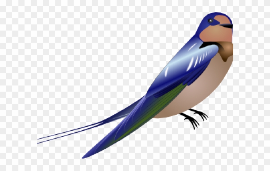burung png 20 free Cliparts | Download images on Clipground 2021