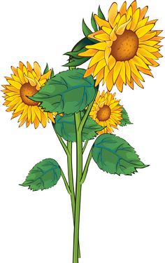 Grab This Free Summer Flower Clip Art.