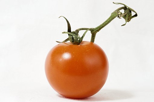 Tomato.