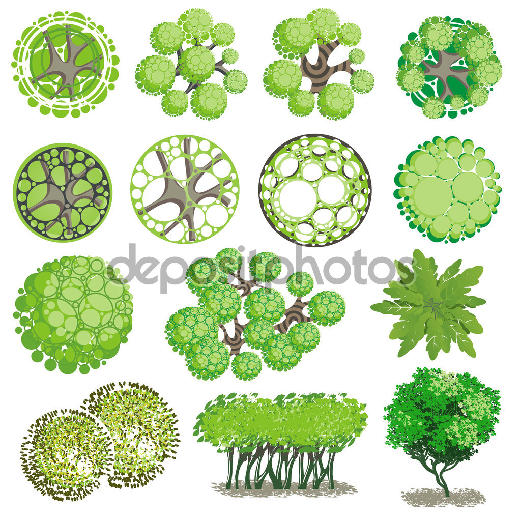 Trees and bush item top view for landscape design, vector icon.