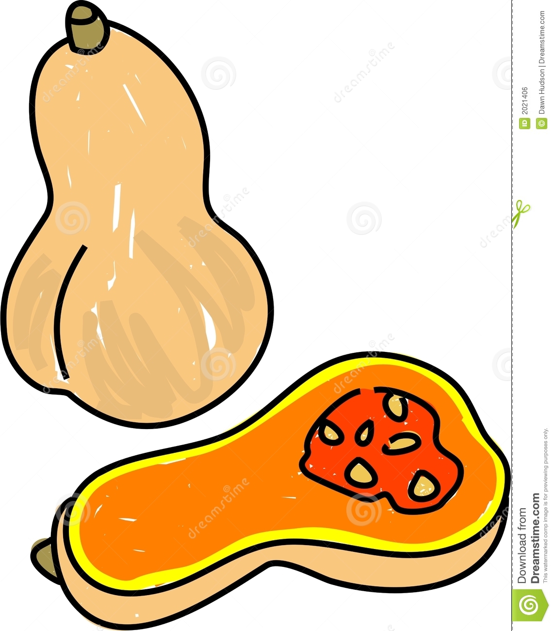 Butternut Squash Clipart.