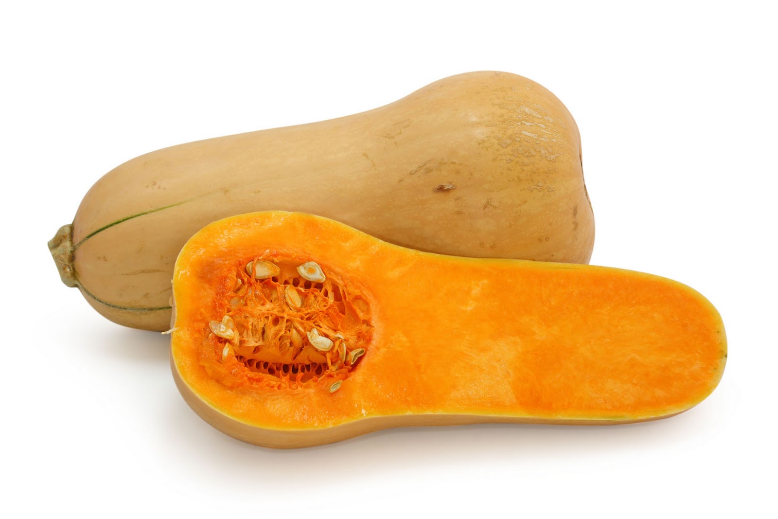 Butter nut squash clipart - Clipground