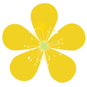 Buttercup like clipart - Clipground