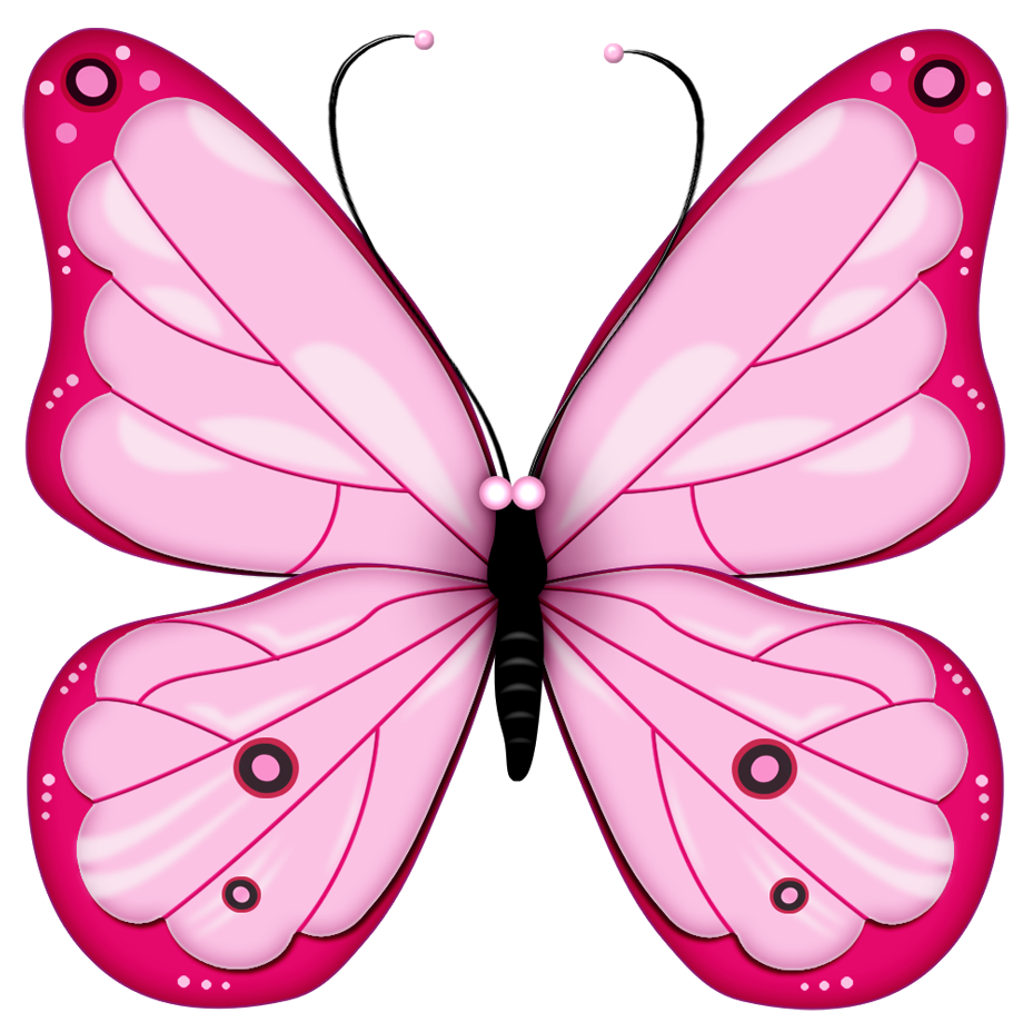 Butterfly Clipart.