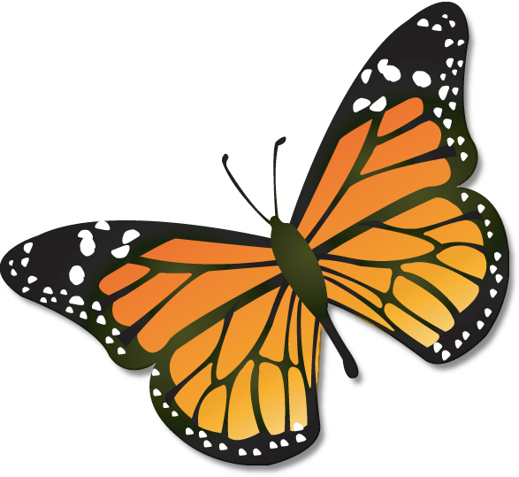 Butterflies butterfly clip art butterfly clipart.