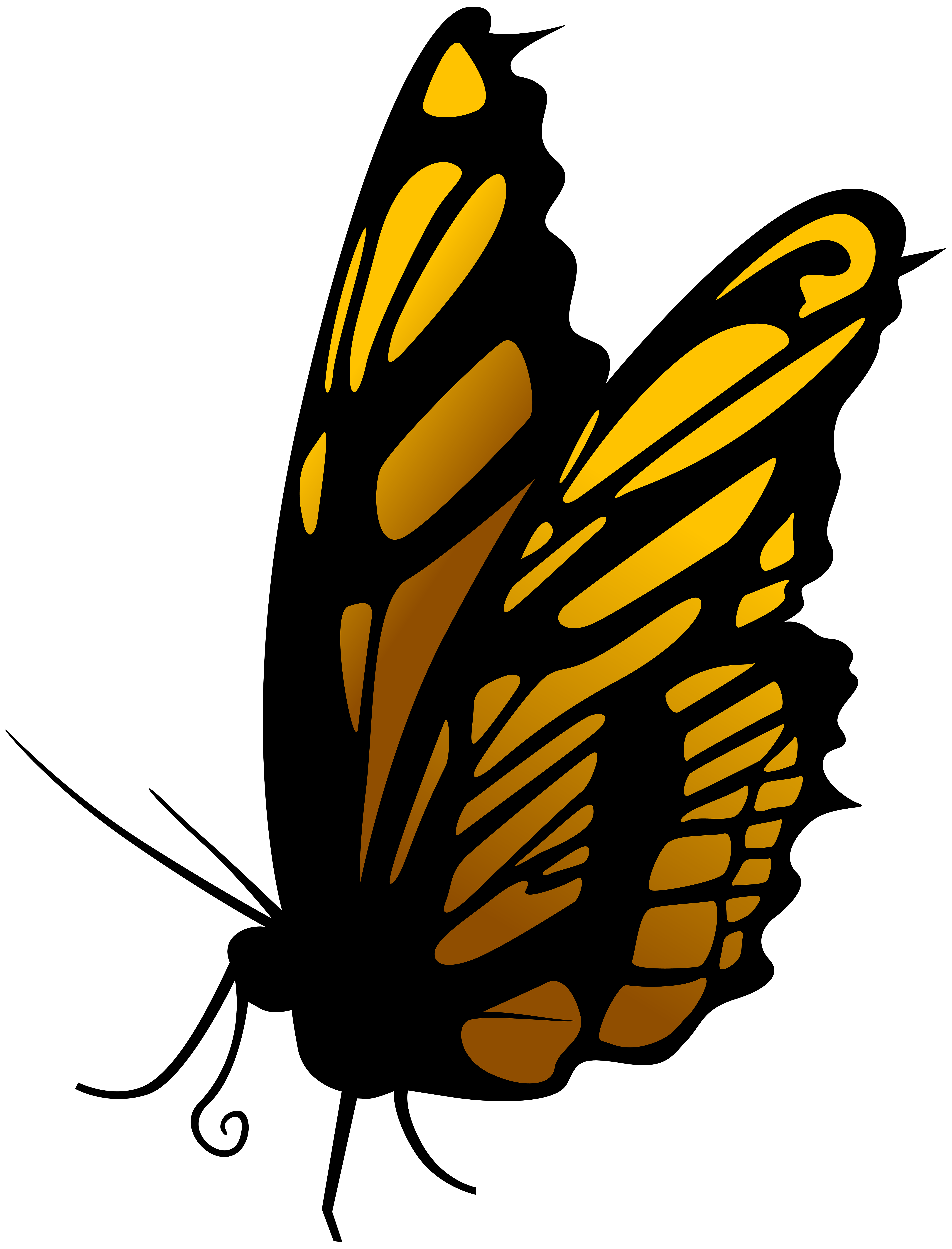 Butterfly PNG Clip Art.