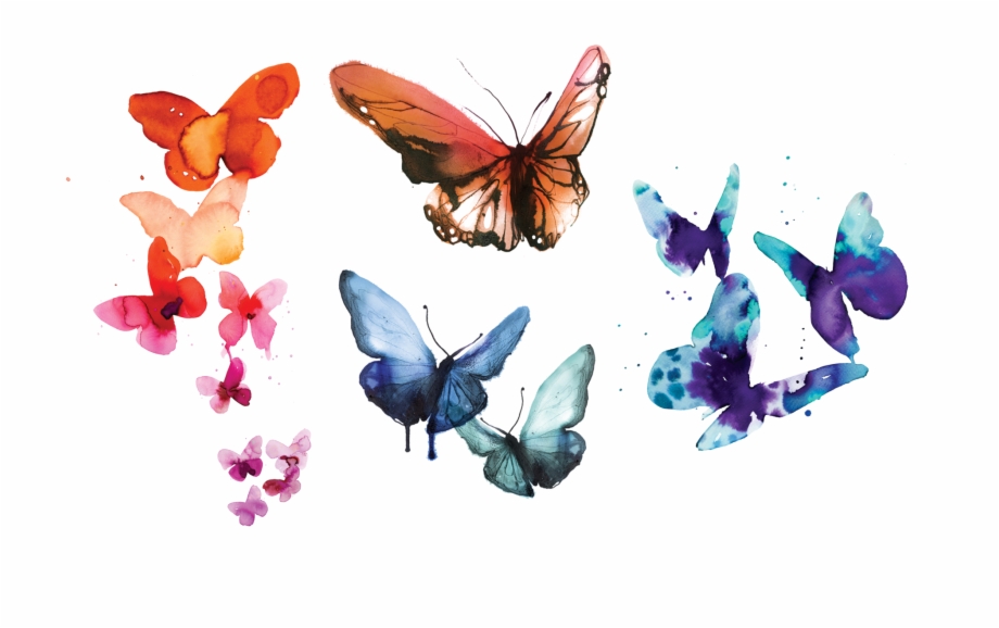 Watercolor Butterflies Set Stina Persson From Tattly.