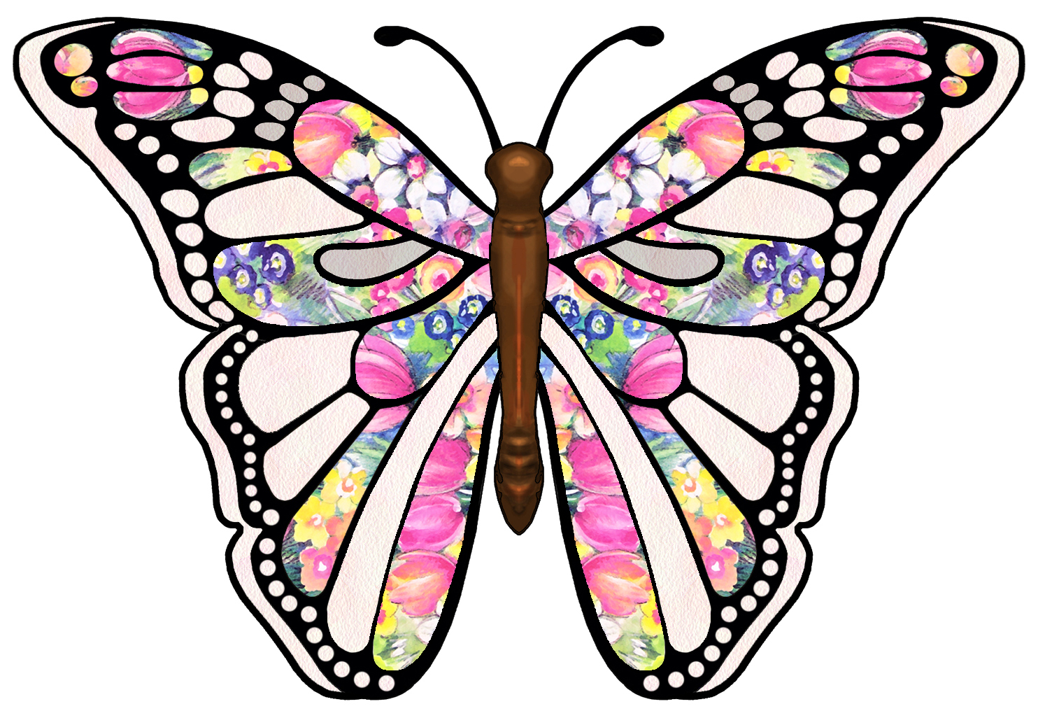 Butterfly Art Images.