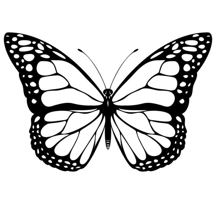 Free Butterfly Clipart & Butterfly Clip Art Images.