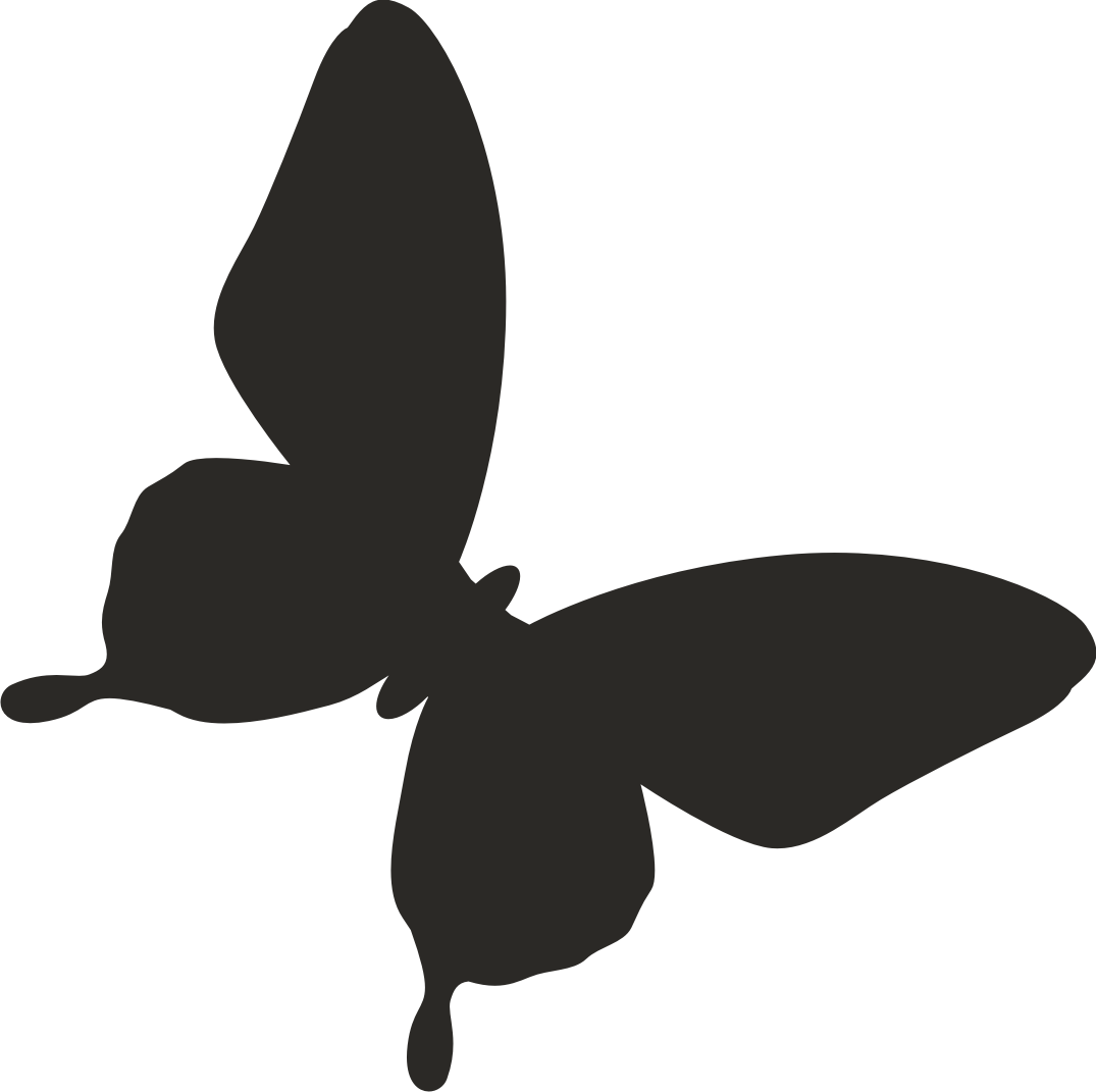 Butterfly Clipart Vector.
