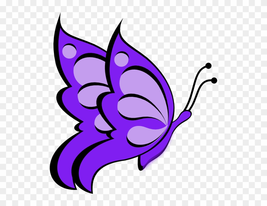 Easy Butterfly Drawing Clipart Drawing Sketch.