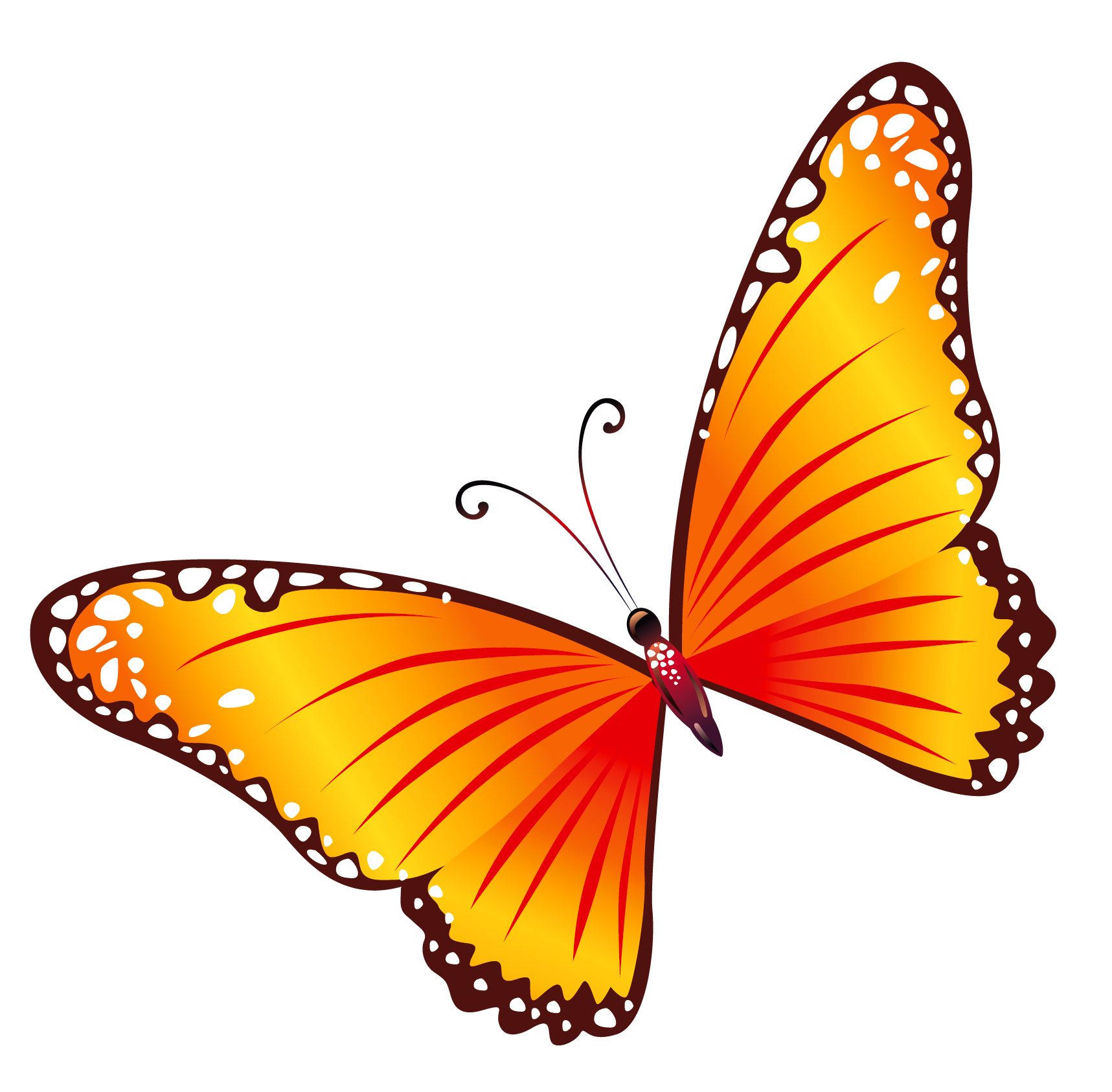 Butterfly Clipart PNG.