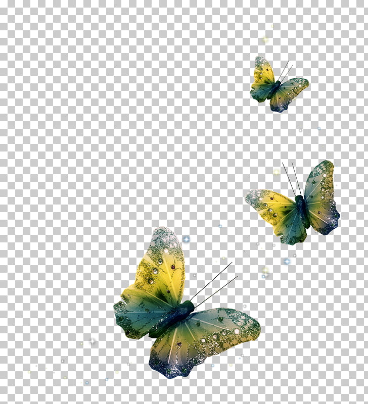 Portable Network Graphics Butterfly Psd Adobe Photoshop, 4U.