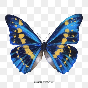 butterfly clipart png 20 free Cliparts | Download images on Clipground 2024