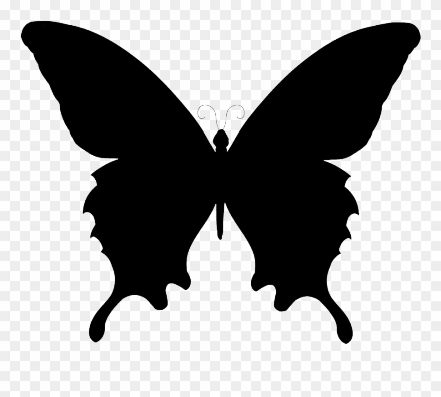 silhouette butterfly clipart 10 free Cliparts | Download images on