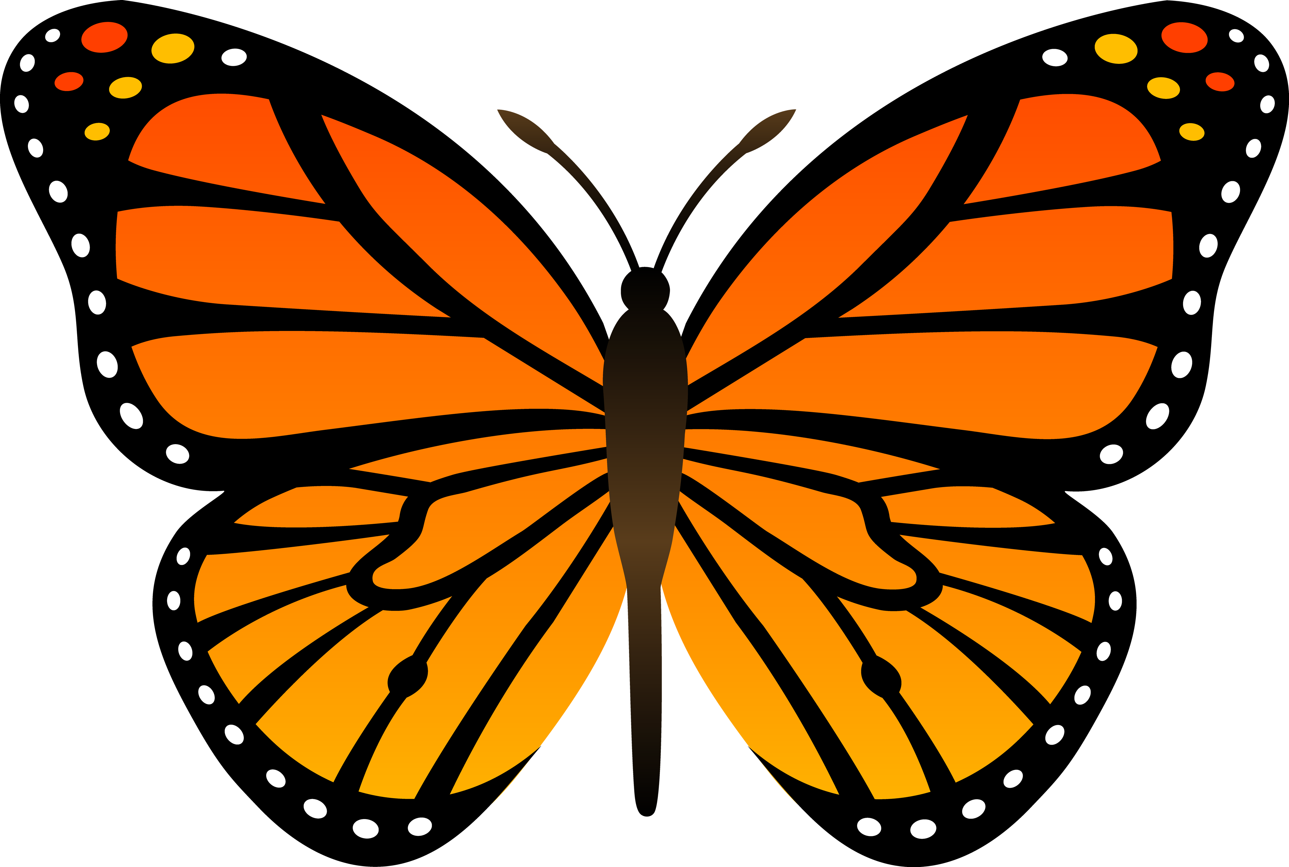 Clipart Butterfly Png.