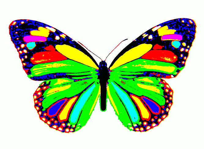 Rainbow Butterfly GIF.