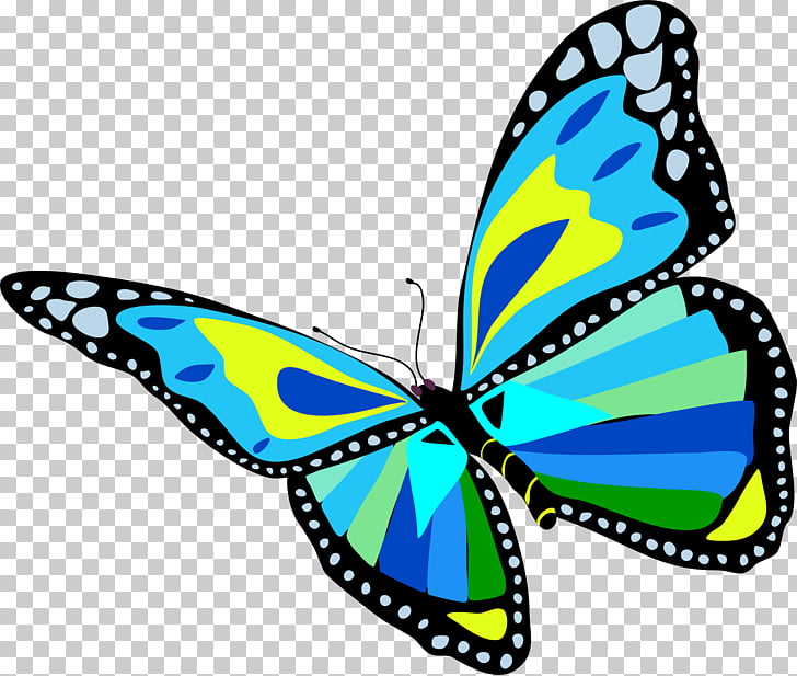 Monarch butterfly Flight , fly PNG clipart.