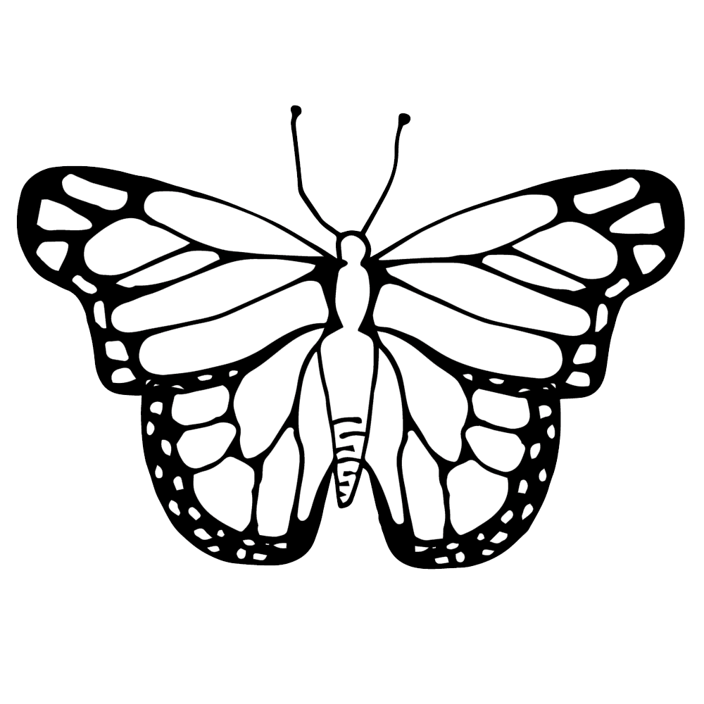Butterfly black and white life cycle of a butterfly clipart black.