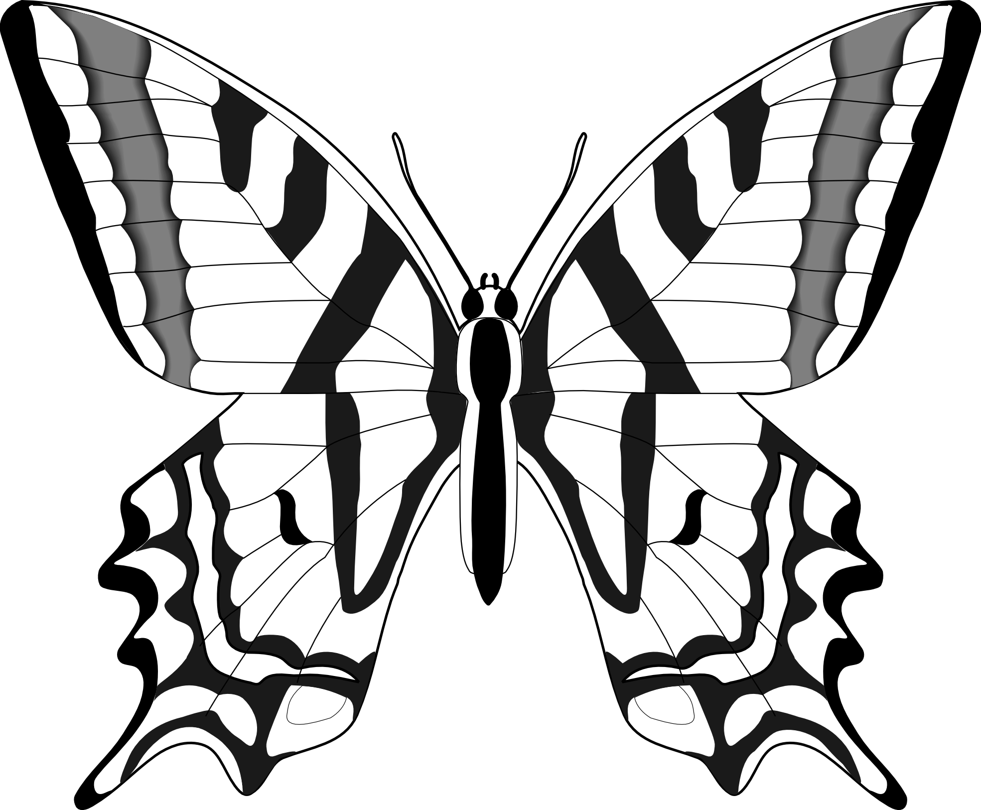 Butterfly Clipart Black And White.