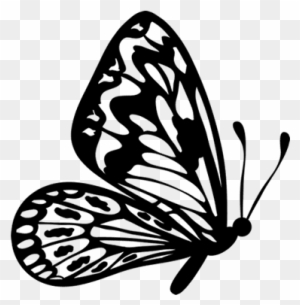 Flying Butterfly Outline Clipart.