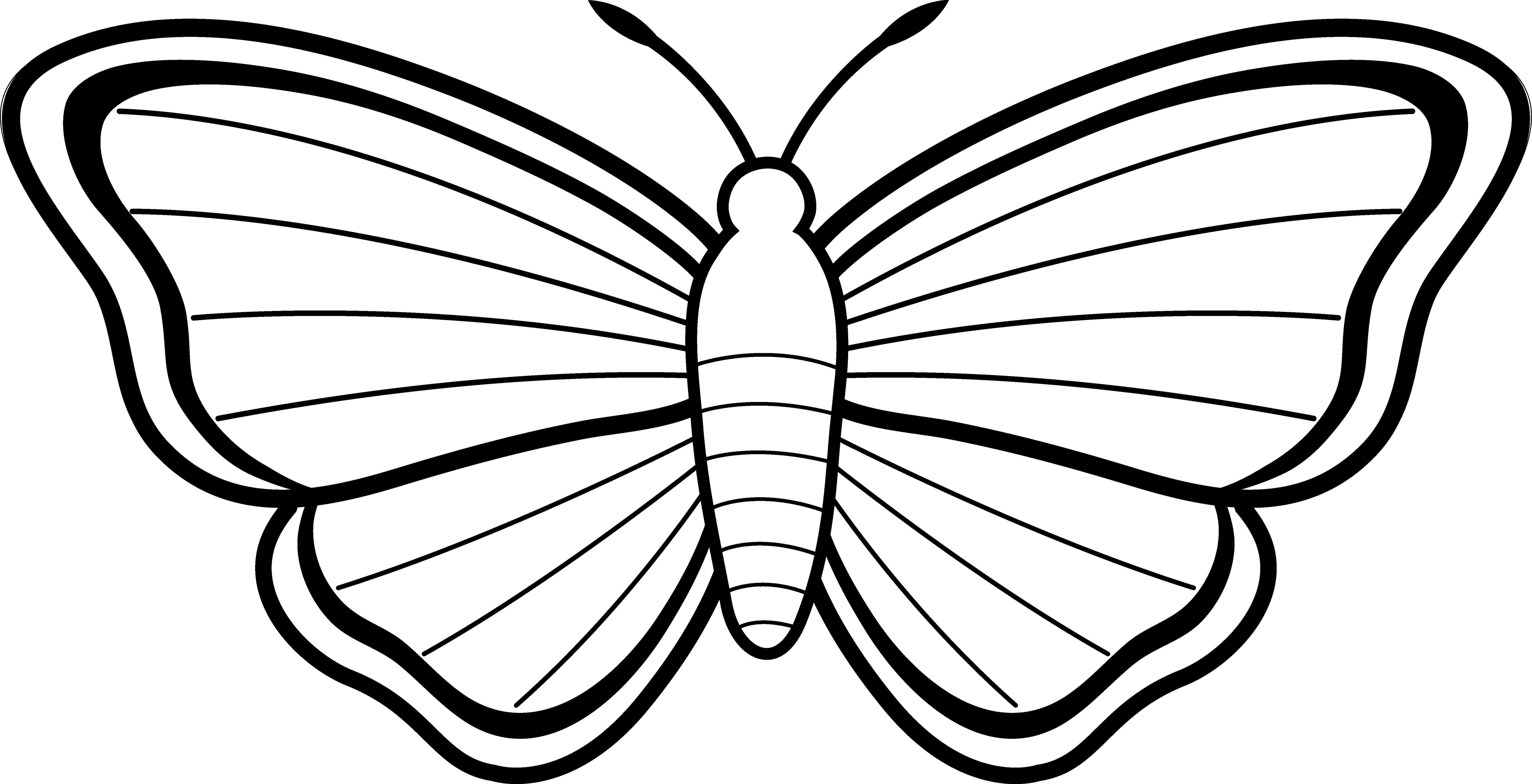 Butterfly Outline Clip Art.