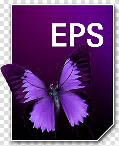 Adobe Neue Icons, EPS__, purple and black butterfly with EPS.