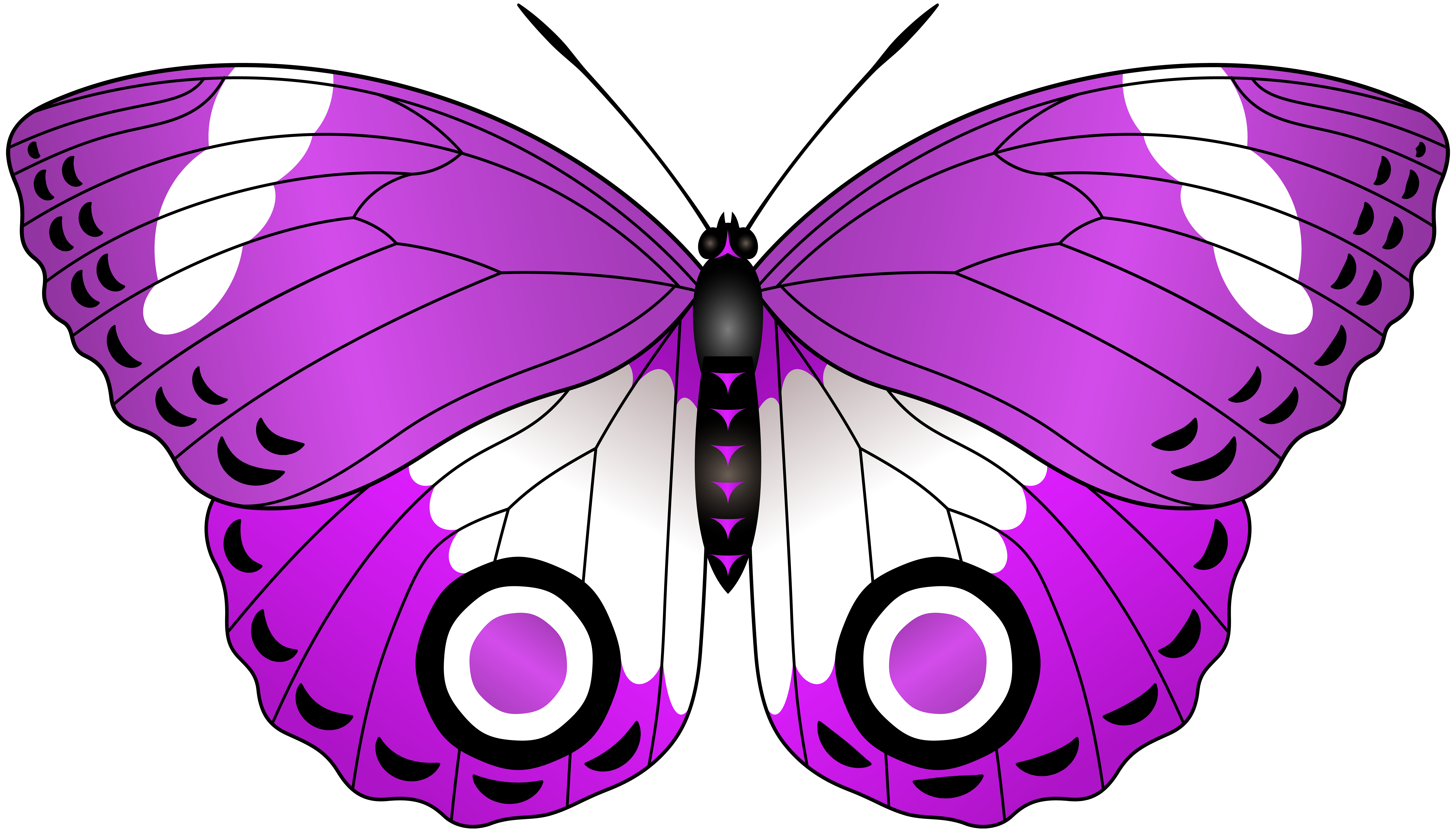 Purple Butterfly Transparent Clip Art Image.