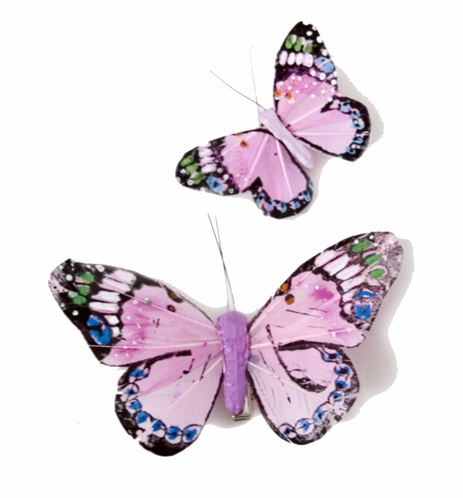 butterfly png download 20 free Cliparts | Download images on Clipground