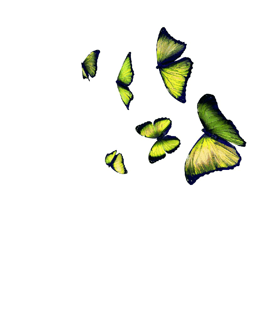 Гиф пнг на прозрачном фоне. Летающие бабочки на прозрачном фоне. Анимационные бабочки на прозрачном фоне. Анимированные бабочки на прозрачном фоне. Бабочки анимация на прозрачном фоне.