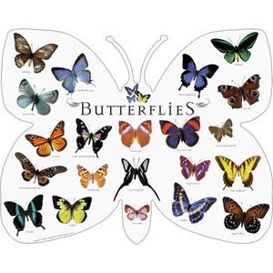 1000+ images about Butterfly stuff on Pinterest.