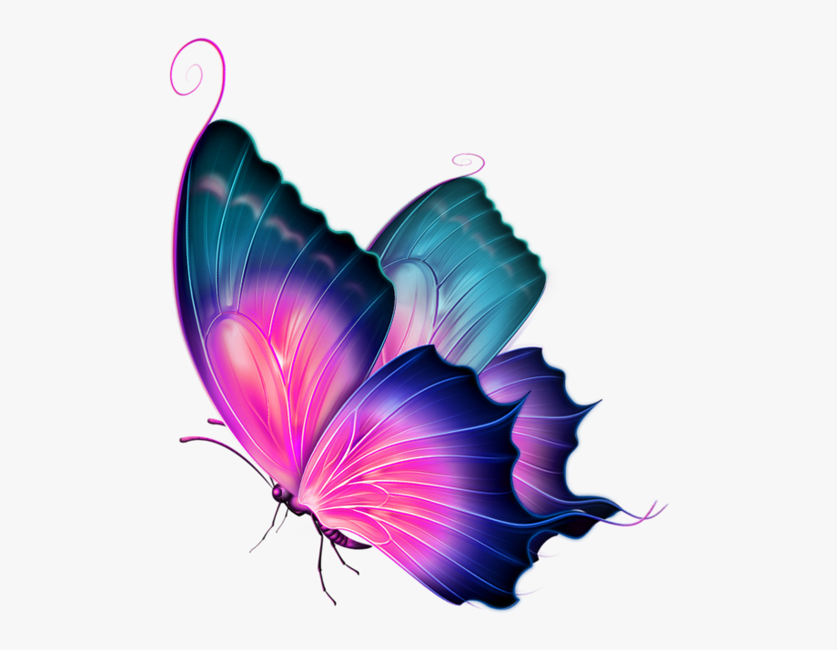 Download butterfly side view clipart 10 free Cliparts | Download ...