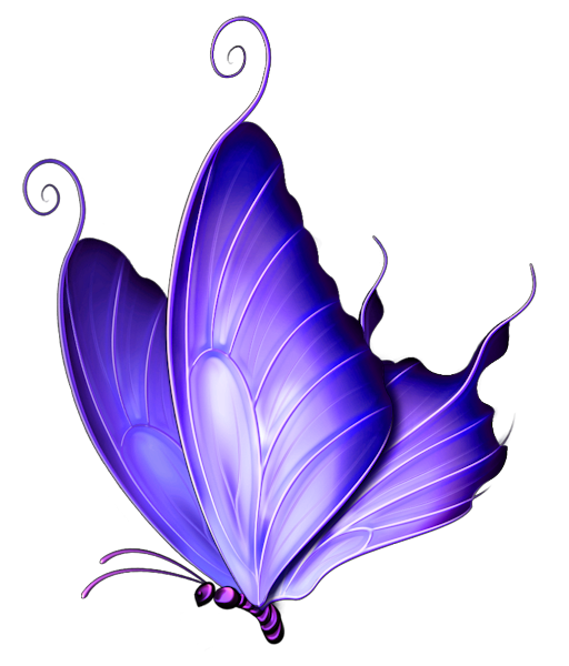 Free Free 67 Transparent Butterfly Svg Free SVG PNG EPS DXF File