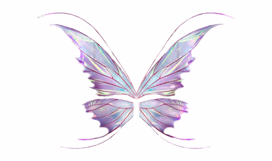 butterfly wing png 20 free Cliparts | Download images on Clipground 2023
