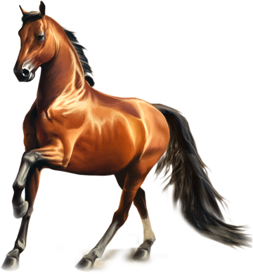 caballos png 20 free Cliparts | Download images on Clipground 2023