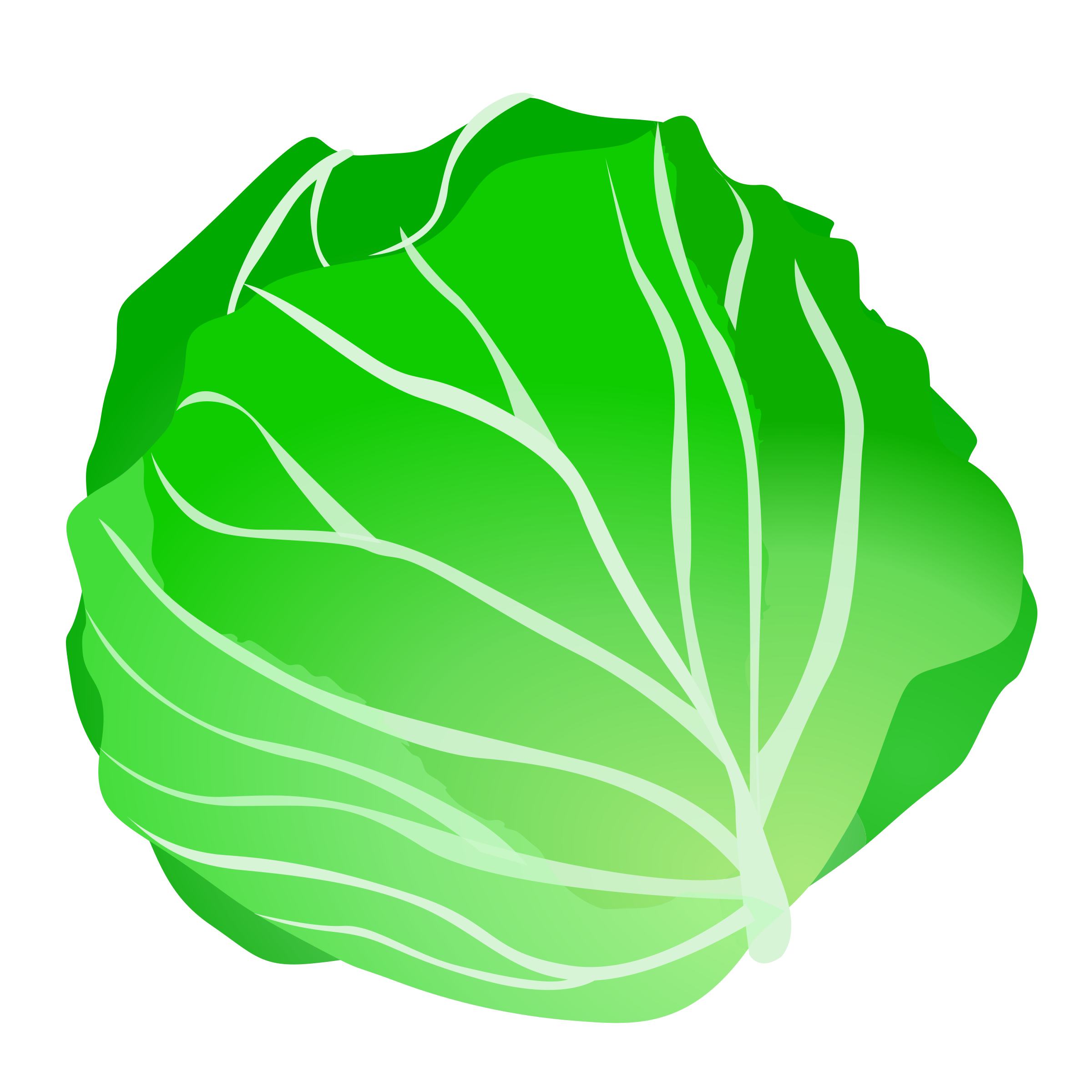 Cabbage 20clipart.