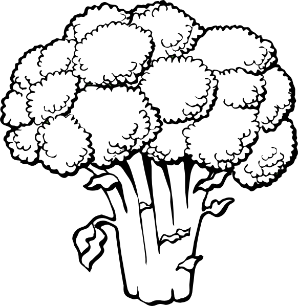 Free Cabbage Clipart Black And White, Download Free Clip Art.