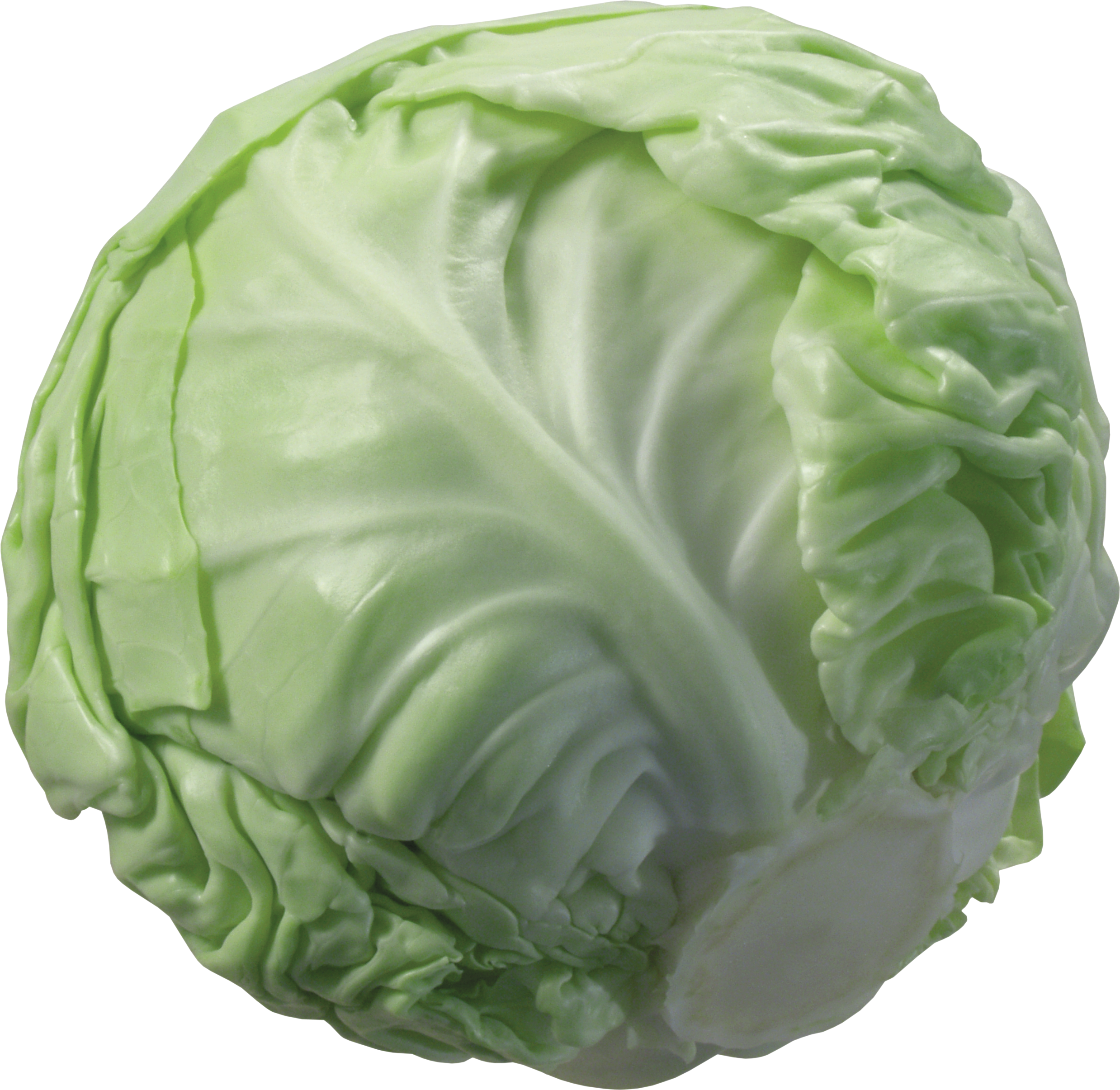 Cabbage PNG Image.