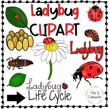 The best free Cycle clipart images. Download from 148 free.