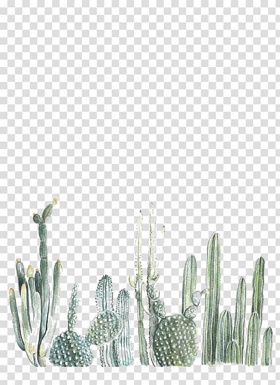 Cactaceae Cacti & Succulents Desktop Succulent plant.