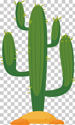 664 cactus Vector PNG cliparts for free download.