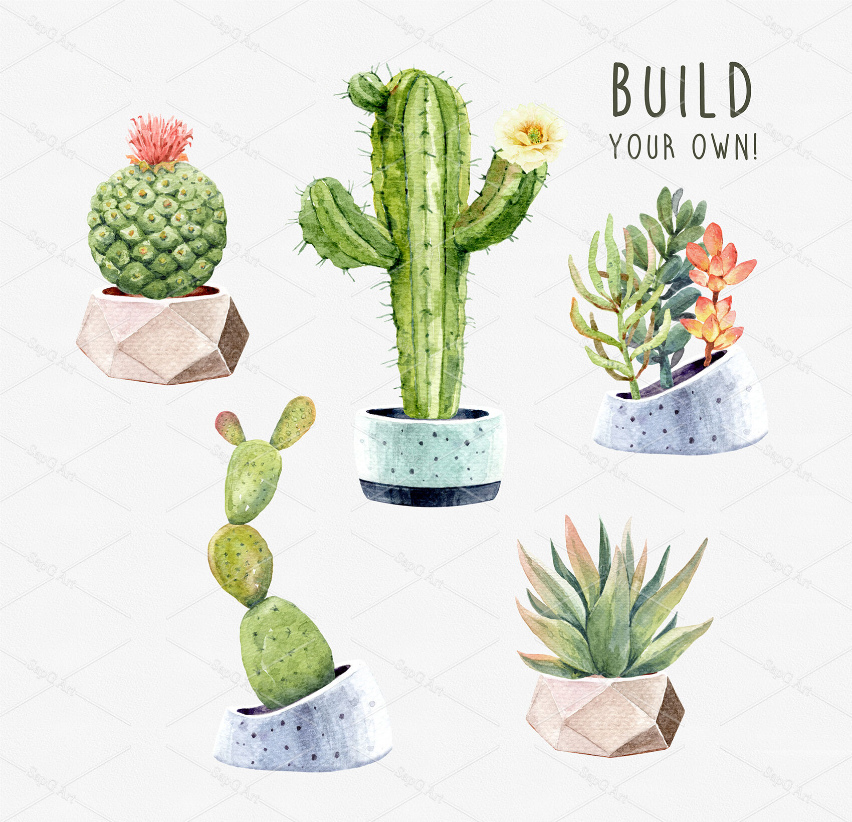 Watercolor Cactus Clipart.