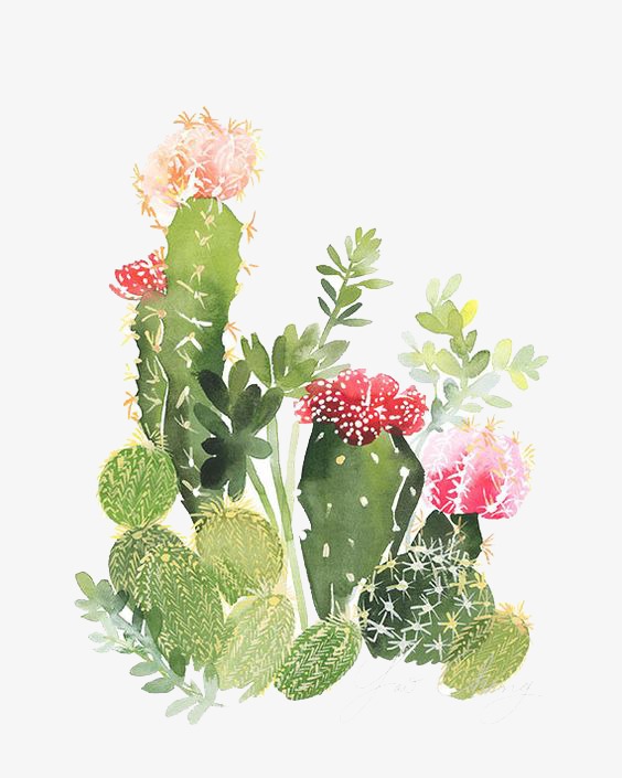 cactus flower png 20 free Cliparts | Download images on Clipground 2024