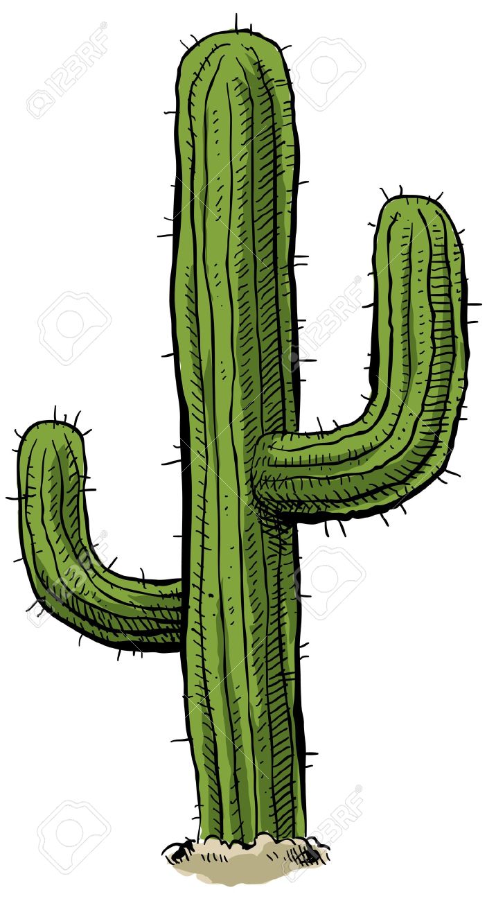 6,739 Desert Cactus Stock Vector Illustration And Royalty Free.