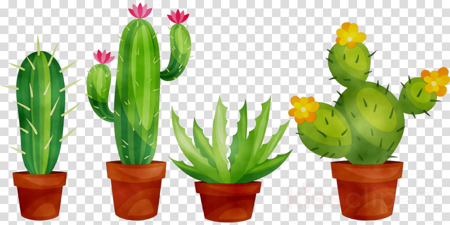 cactus plants clipart 10 free Cliparts | Download images on Clipground 2021